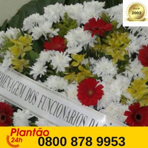 Floricultura perto Capela Vaticano - Curitiba Floricultura perto Capela Vaticano - Curitiba