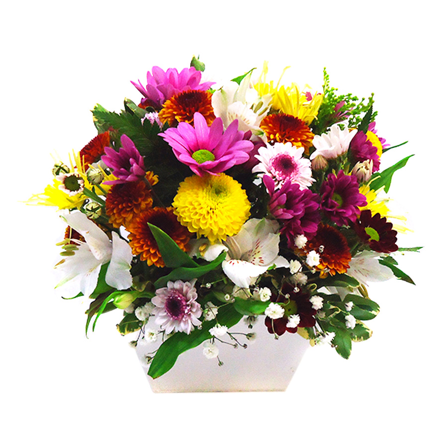 Floricultura em Guaianases