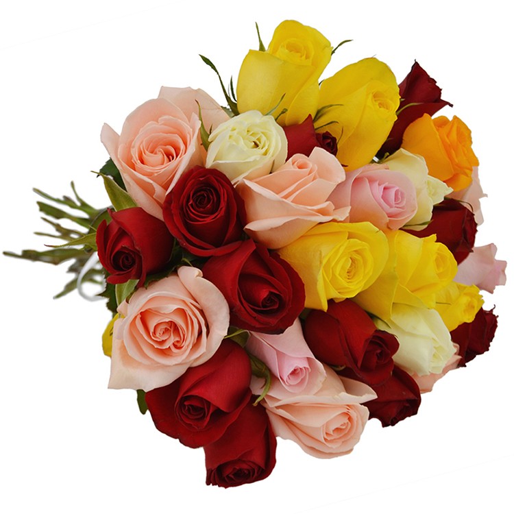 Buque de Rosas Coloridas 30 Rosas - Floricultura Cesta e Flor