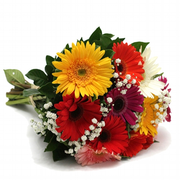 Floricultura Vila Mariana