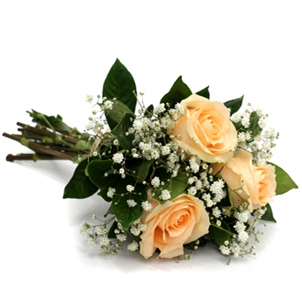 Floricultura Anália Franco