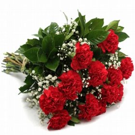 Floricultura em Diadema
